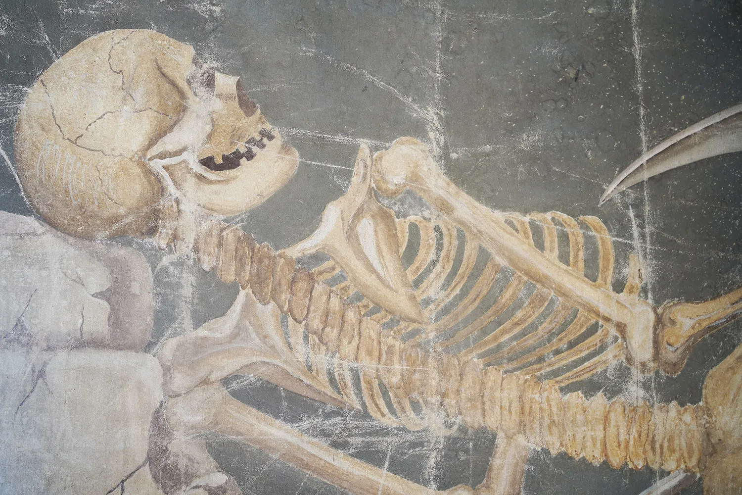 A Large Early 20thC Italian Oil on Canvas Memento Mori Painting of a Skeleton
