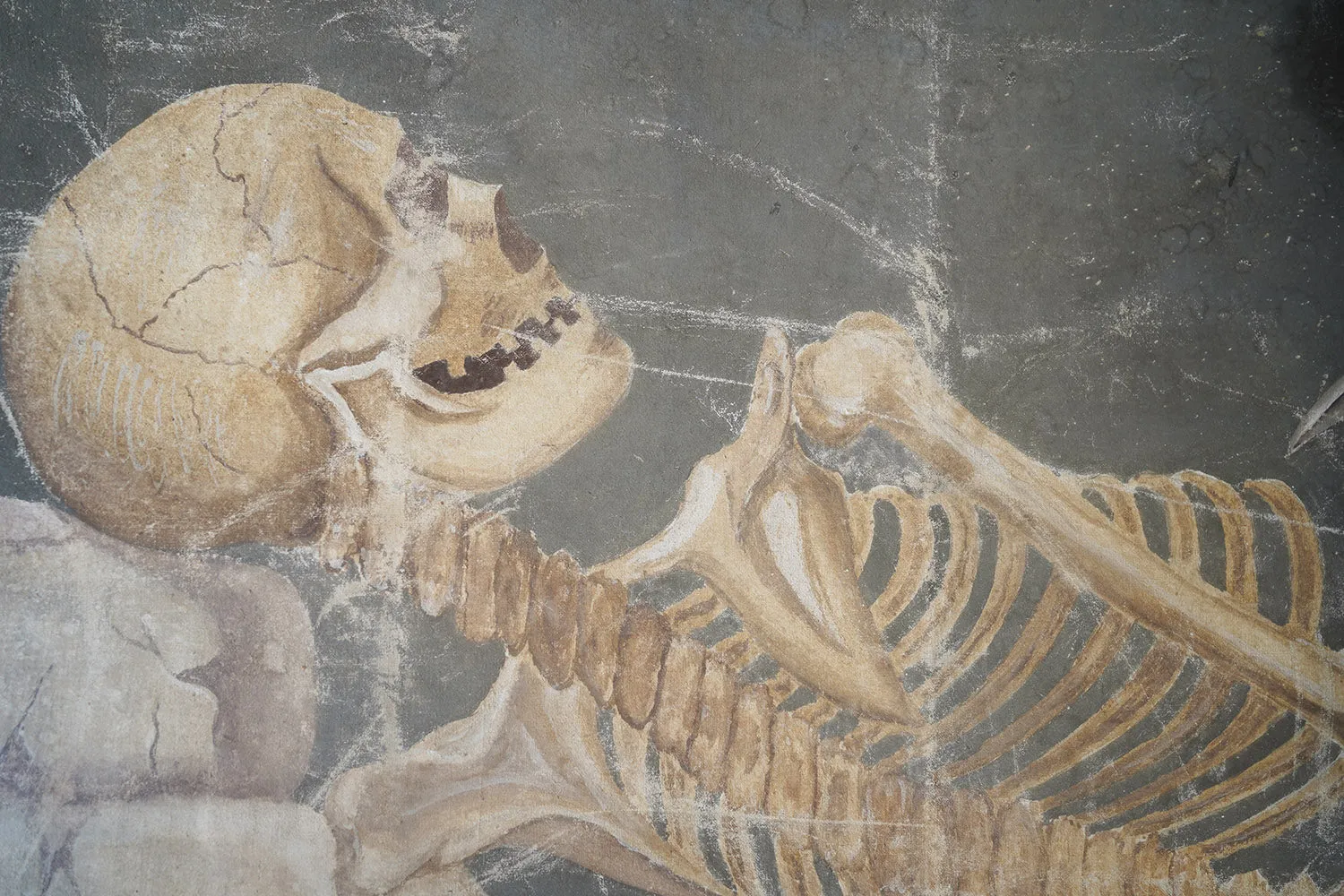 A Large Early 20thC Italian Oil on Canvas Memento Mori Painting of a Skeleton