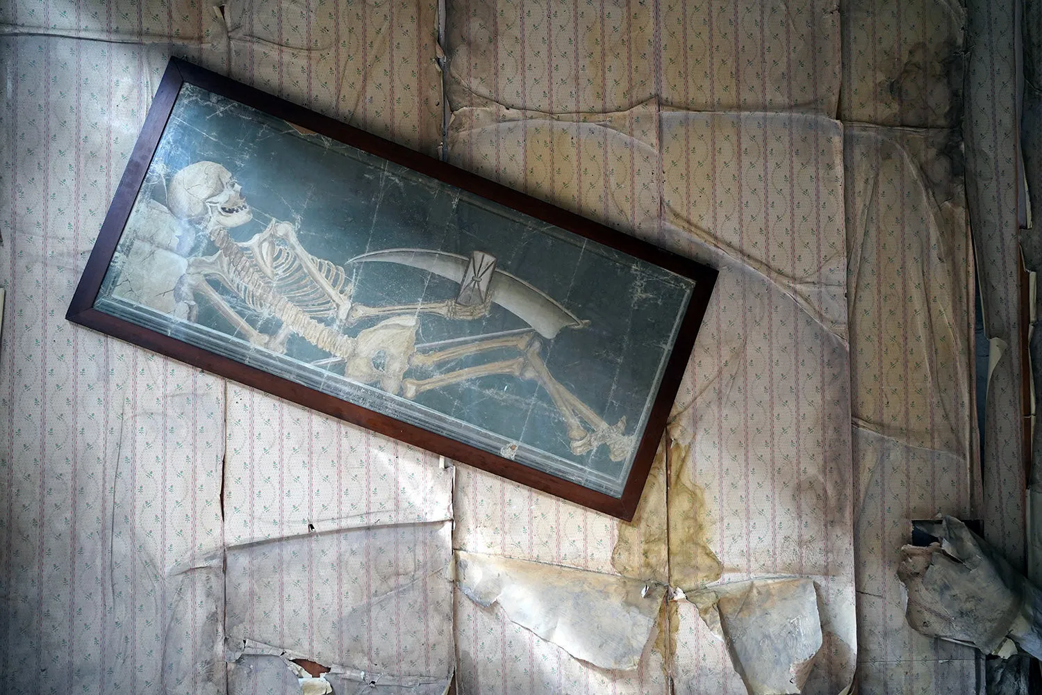 A Large Early 20thC Italian Oil on Canvas Memento Mori Painting of a Skeleton