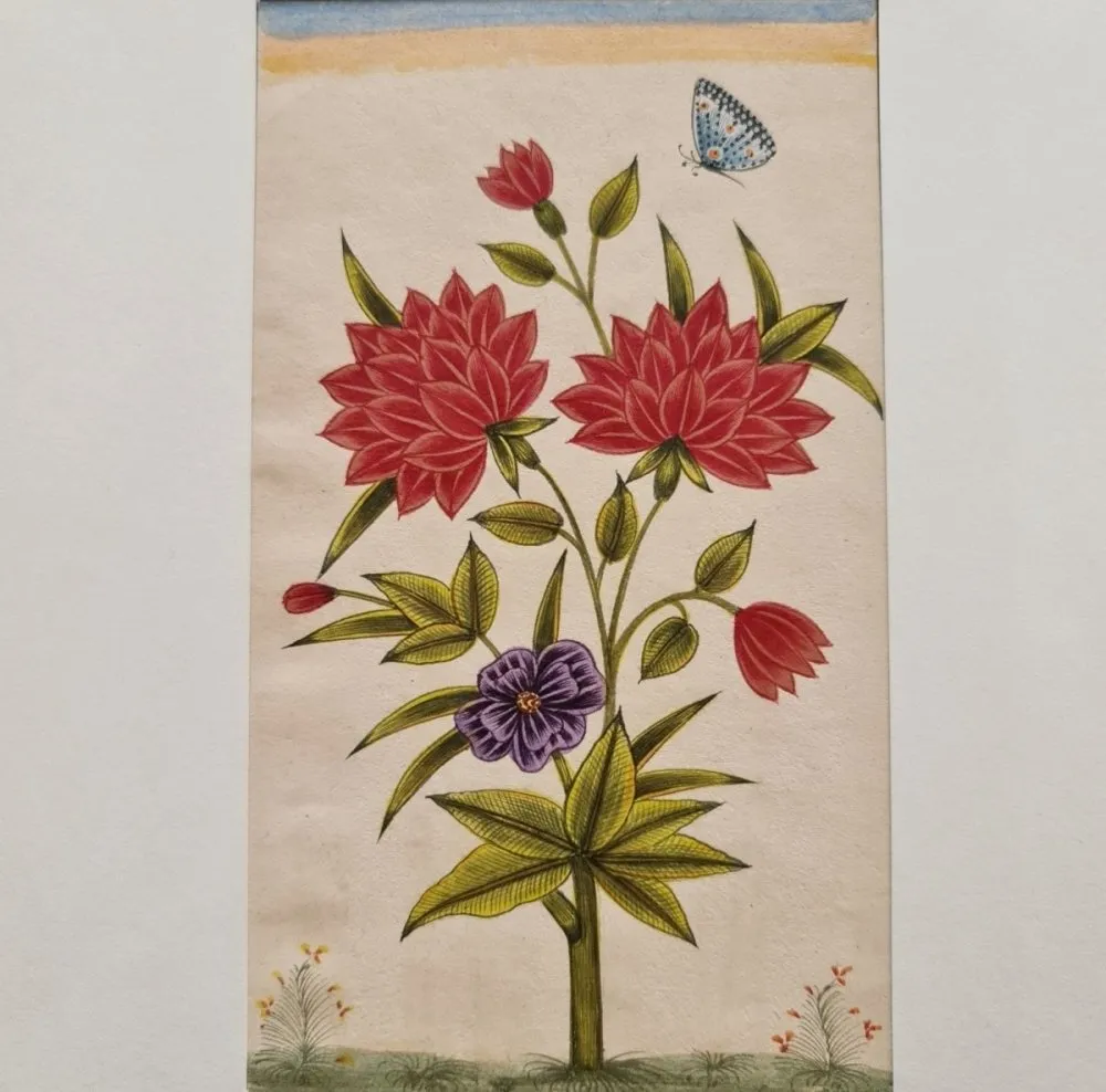 Indian Miniature Painting of Flowers and a Butterfly