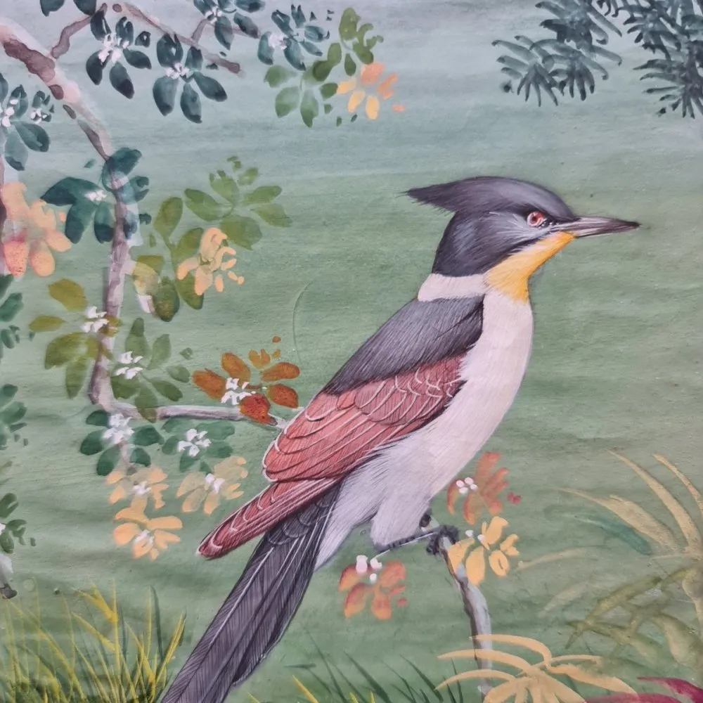 Original Mughal Inspired Painting of Yellow Throat Sparrow