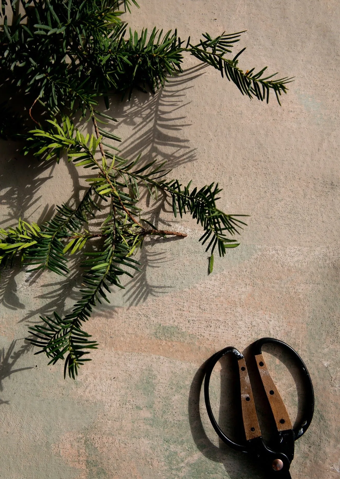 Redwood Plasters #0135 I // Mini Painting