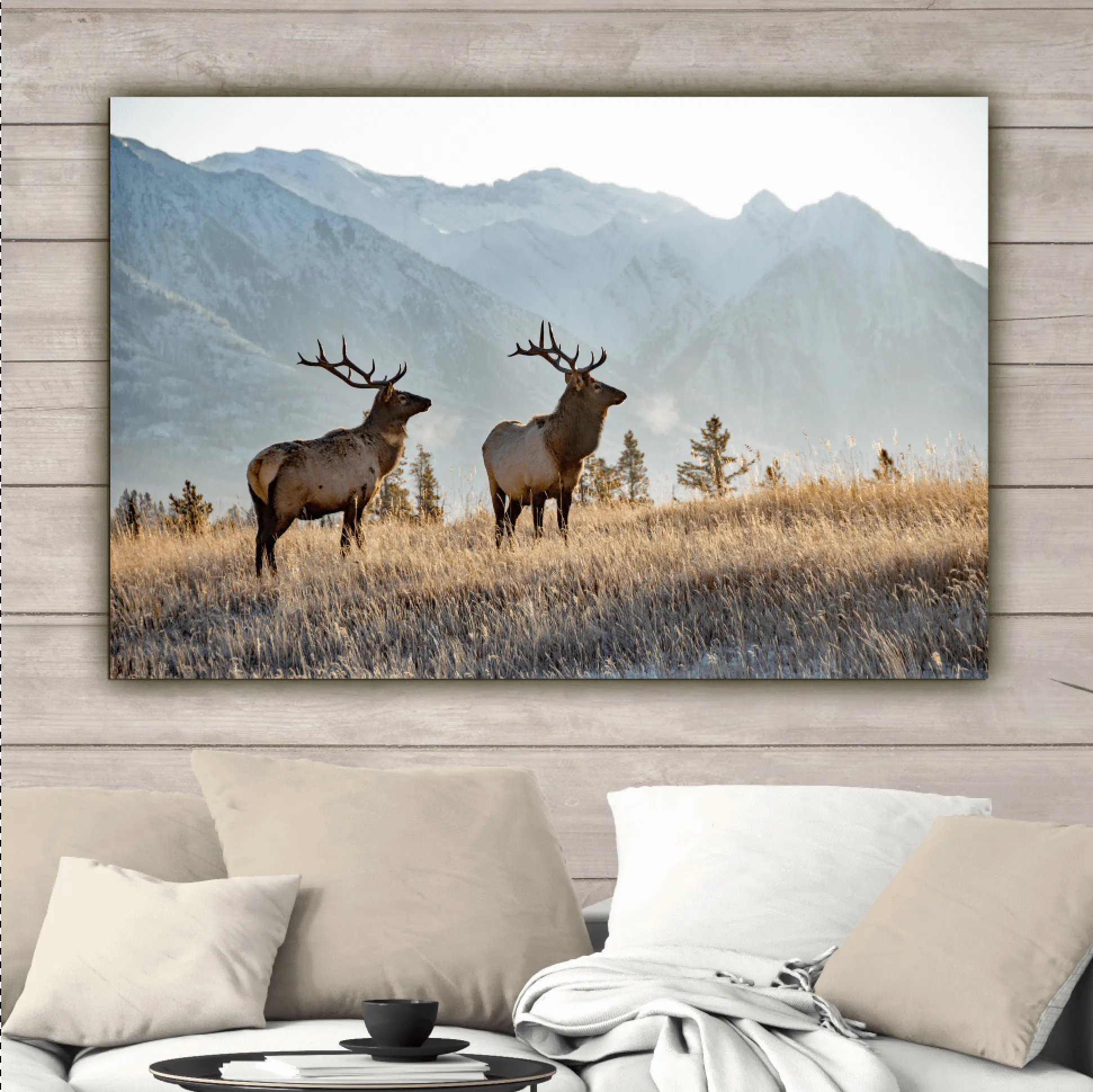 Rocky Mountain Elk Canvas Wall Art