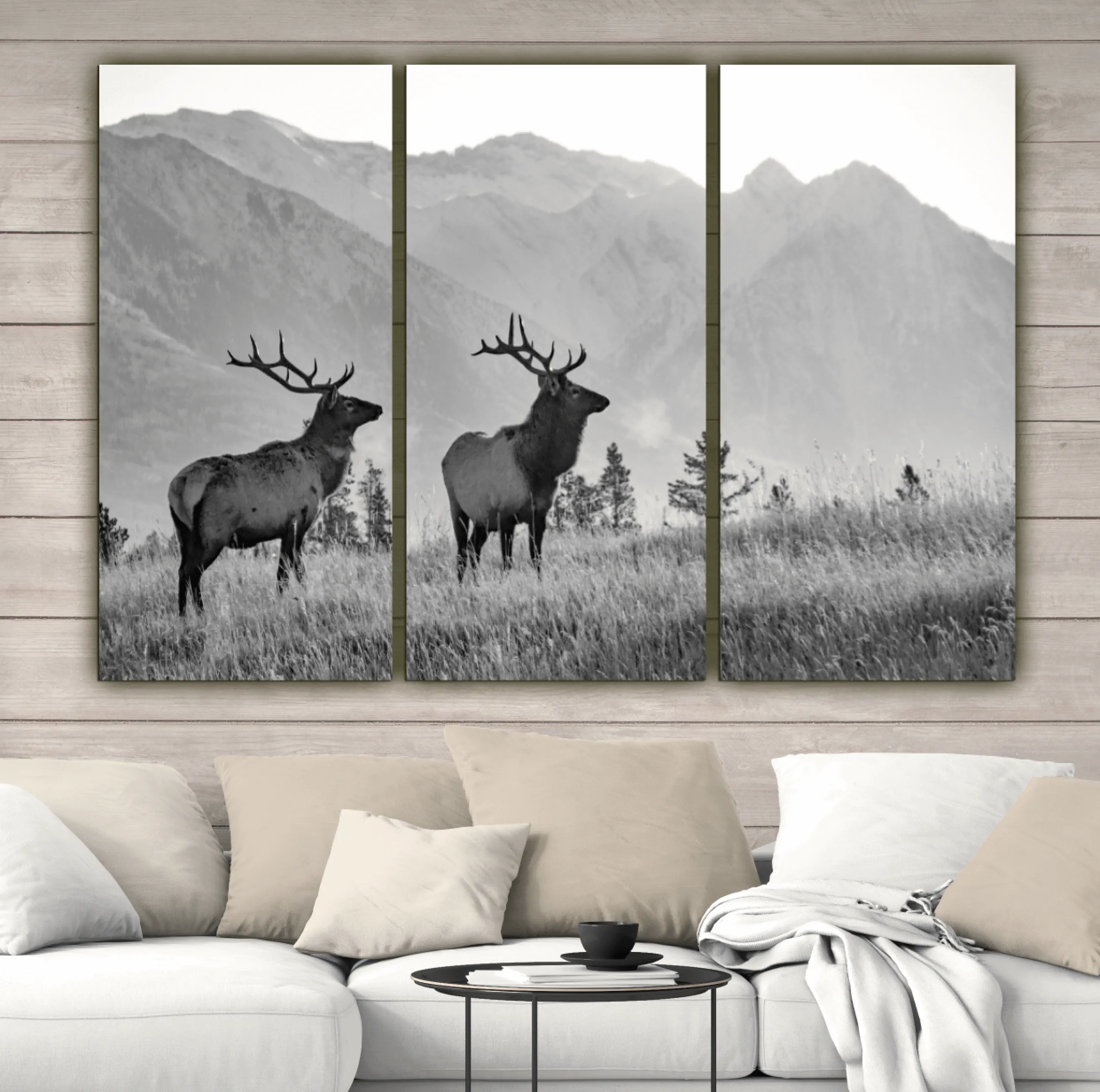 Rocky Mountain Elk Canvas Wall Art